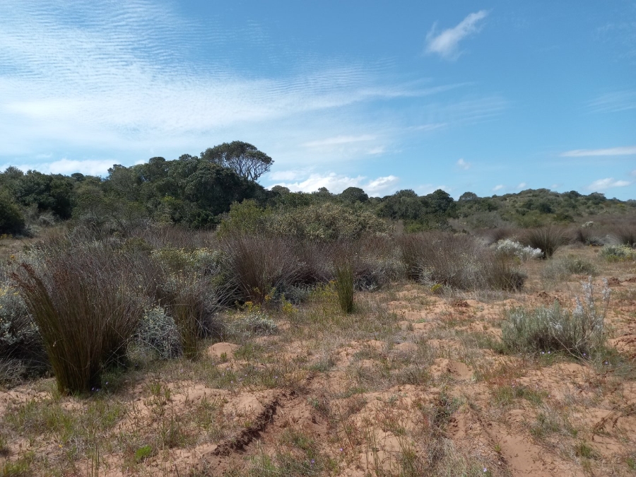 3 Bedroom Property for Sale in Stilbaai Rural Western Cape
